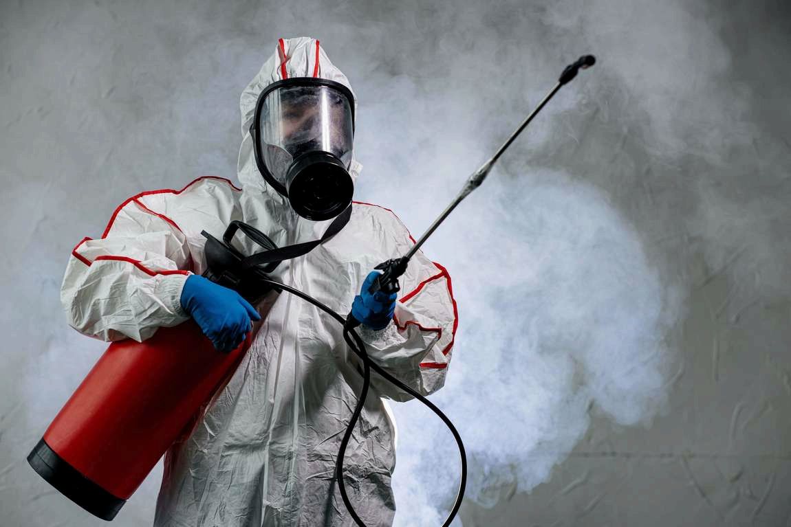 Дезинсекция