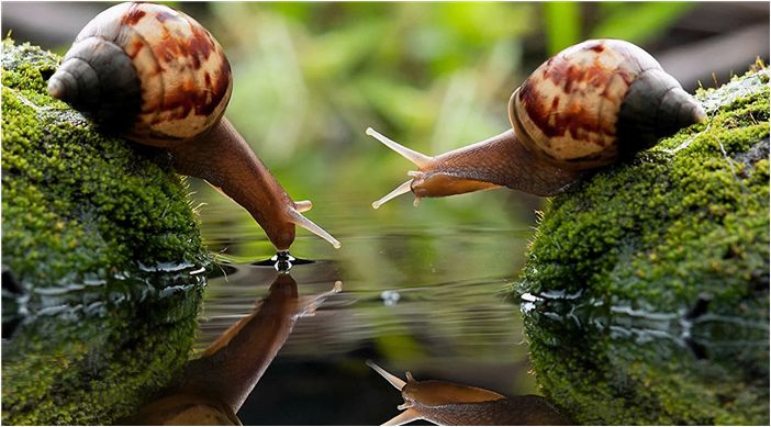 О корейской косметике