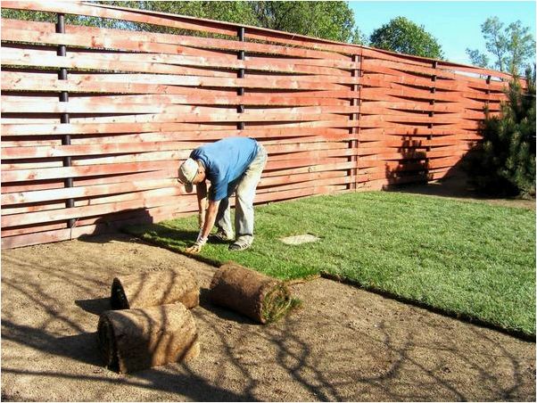 (рулонный, газон, выбор, лентяев) Рулонный газон — выбор не лентяев, а тех, кто знает цену времени