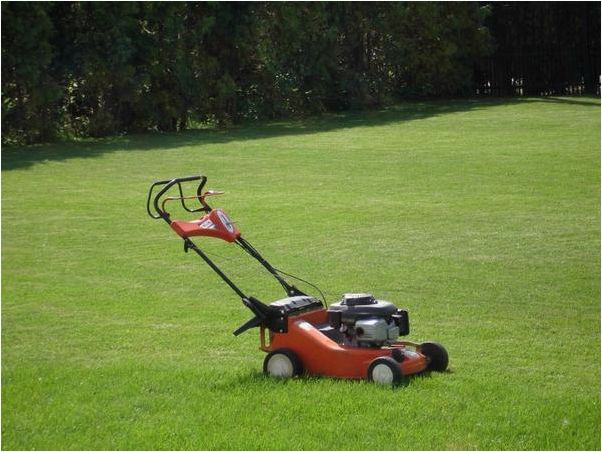 (рулонный, газон, выбор, лентяев) Рулонный газон — выбор не лентяев, а тех, кто знает цену времени