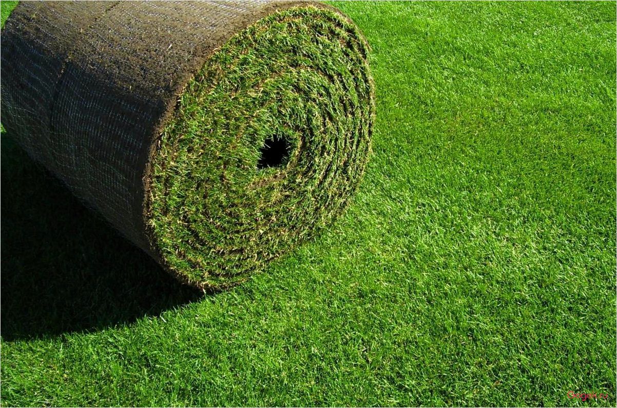 Рулонный газон: преимущества и особенности укладки
