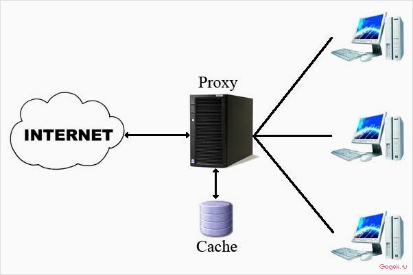 Полный обзор и описание возможностей сайта mobileproxy.space