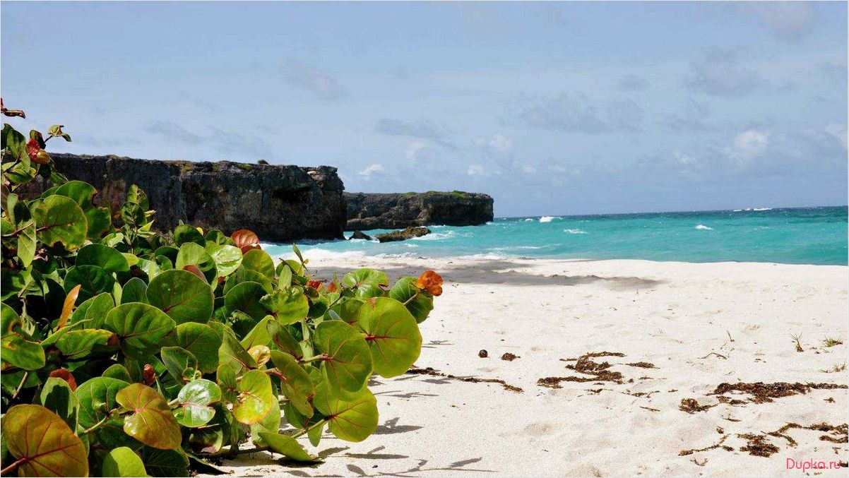 Барбадос — лучшее место для туризма и путешествий