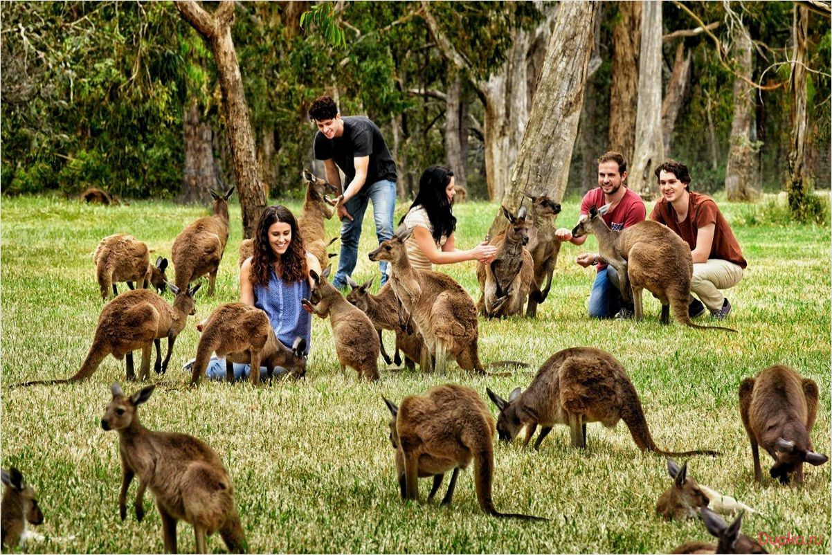 Аделаида-Хиллз, Австралия: лучшие места для туризма и путешествий