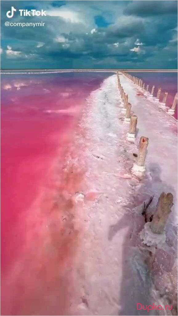 Розовое озеро Сасык-Сиваш: откройте для себя волшебство Крыма