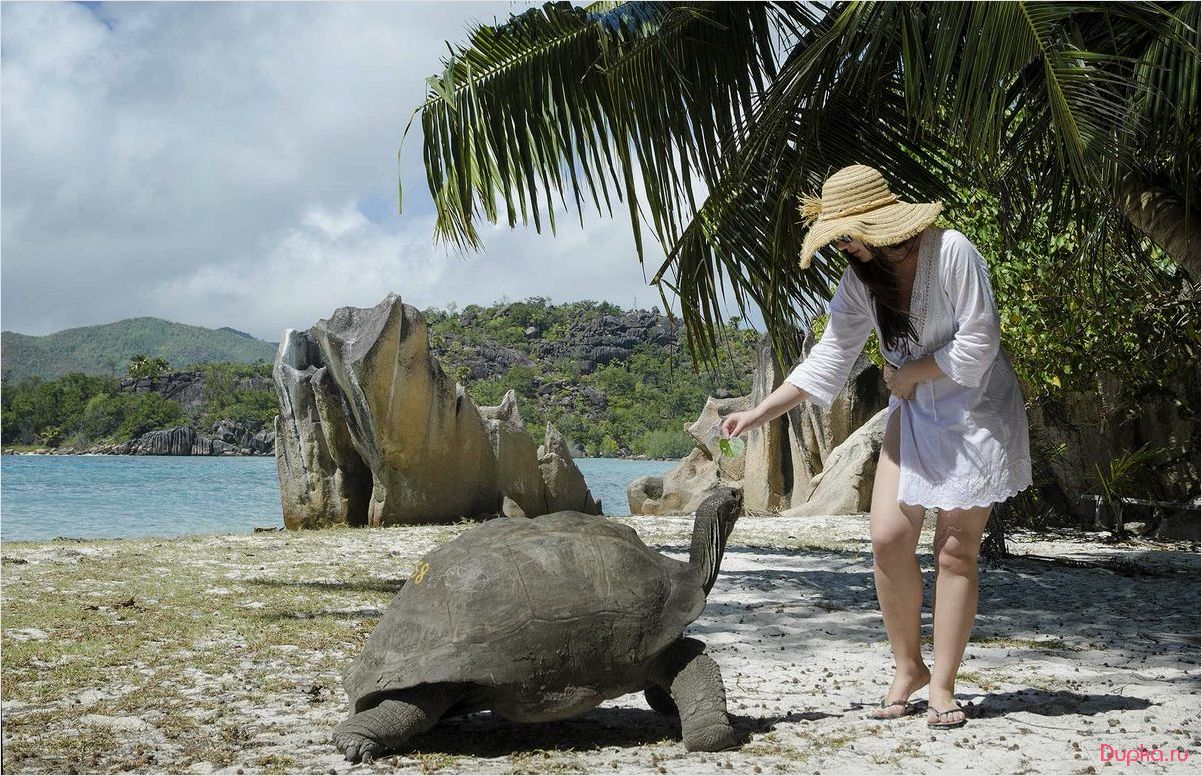 Сейшельские острова: лучшие места для туризма и путешествий