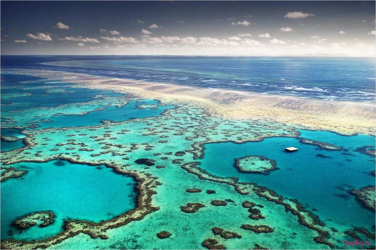 Большой барьерный риф: путешествие в водный рай